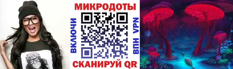 Псилоцибиновые грибы мухоморы  где найти наркотики  Магадан 