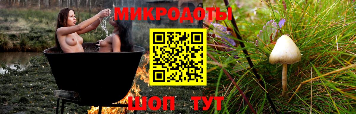 Магадан  Галлюциногенные грибы Psilocybe  Вход с VPN  Галлюциногенные грибы Psilocybe 