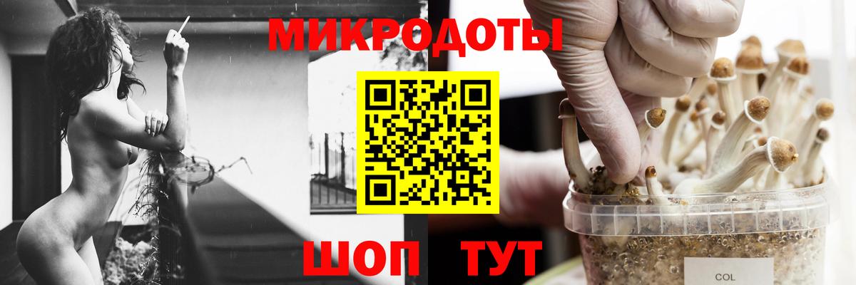 Галлюциногенные грибы ЛСД  Псилоцибиновые грибы GOLDEN TEACHER  Магадан 